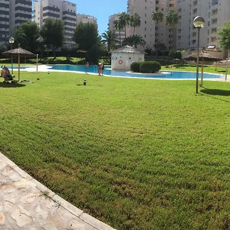 Don Bernard אל קאמפיו